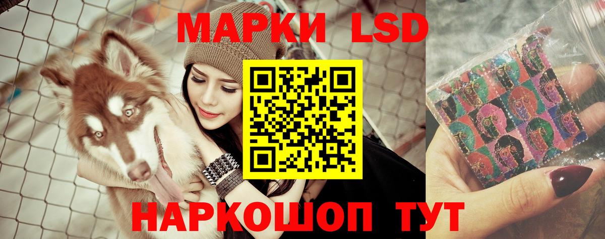 Лсд 25 экстази ecstasy  Вход с VPN  Новокубанск 